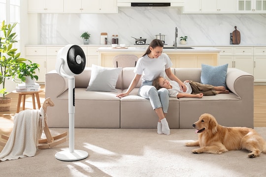 Quạt tuần hoàn Levoit 22.9 cm ra mắt: Đẩy gió xa 30m, tích hợp cảm biến thông minh