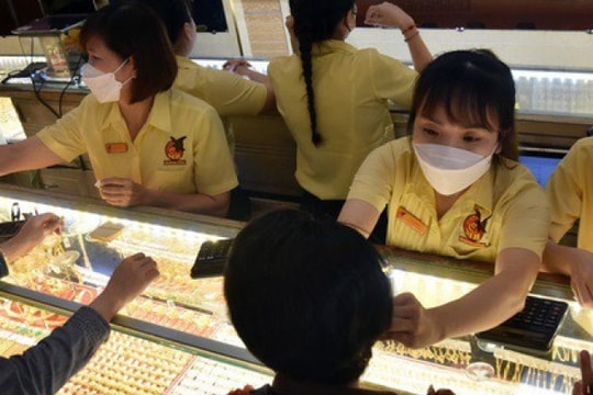 Cập nhật 08:30 sáng 24/03/2026: Giá vàng tăng 2–4, riêng PNJ đi ngang