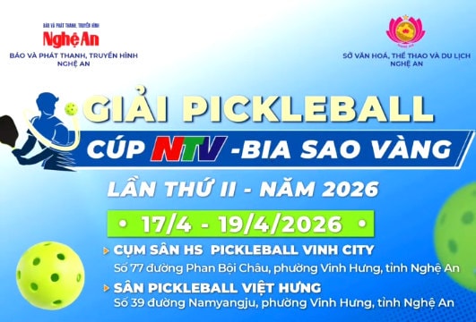 Giải Pickleball Cúp NTV sắp khởi tranh - Đừng bỏ lỡ cơ hội ghi danh!