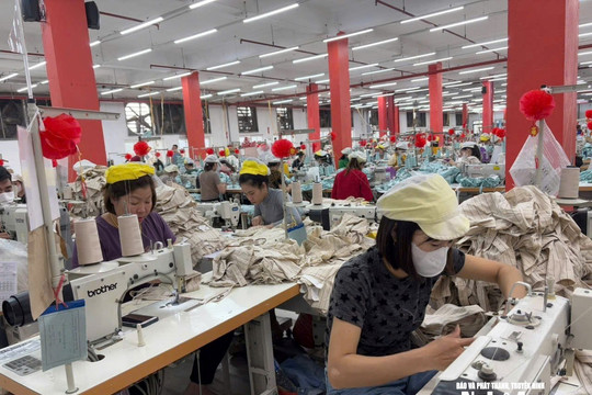 Sử dụng năng lượng tiết kiệm và hiệu quả trong Doanh nghiệp