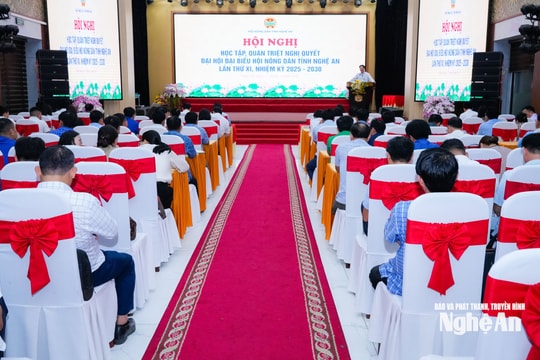 Quán triệt Nghị quyết Đại hội đại biểu Hội Nông dân tỉnh lần thứ XI, nhiệm kỳ 2025 – 2030