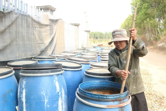 Cập nhật giá phân bón hôm nay 27/3/2026: Thế giới tăng hơn 40%
