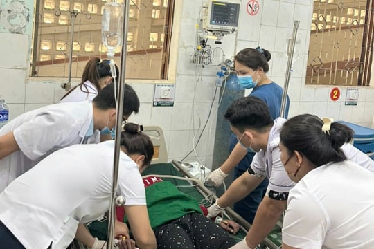 Cấp cứu thành công bệnh nhân ngộ độc lá ngón