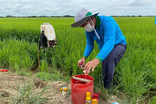 Giá phân bón hôm nay 1/4/2026: Urê thế giới tăng, trong nước giữ ổn định