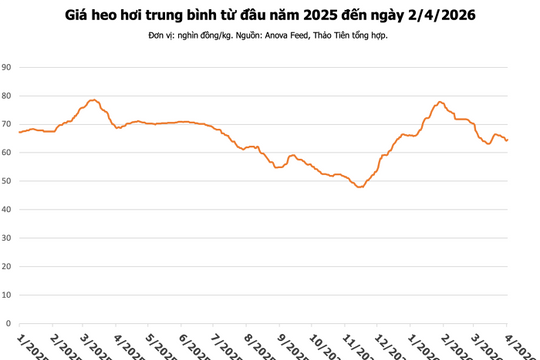 Giá heo hơi hôm nay 2/4: Miền Bắc tăng 2.000 đồng/kg, miền Nam neo ở mốc 68.000 đồng/kg
