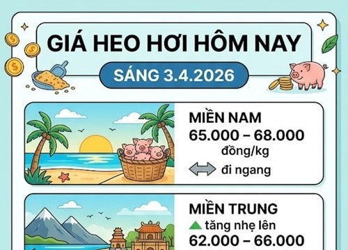 Giá heo hơi ngày 3.4: Miền Bắc và miền Trung phục hồi, cao nhất đạt 68.000 đồng/kg