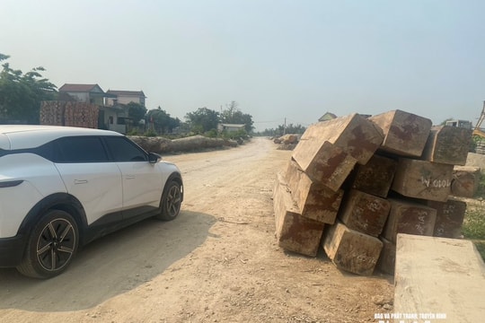Tập kết gỗ lấn chiếm lòng, lề đường gây nguy cơ tai nạn giao thông
