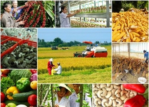 Xuất khẩu nông sản quý I/2026: Kim ngạch đạt 16,69 tỷ USD dù giá cà phê, gạo giảm sâu