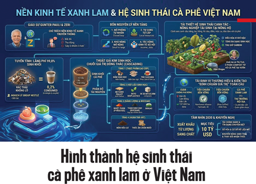 Ngành cà phê Việt Nam chuyển đổi sang hệ sinh thái xanh lam, xuất khẩu đạt 8,92 tỷ USD