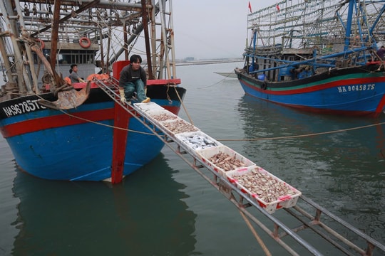 Dự báo thời tiết Nghệ An ngày 9/5/2026: Toàn tỉnh có mưa rào và dông rải rác, cục bộ mưa to
