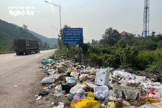 Rác thải bủa vây tỉnh lộ 536