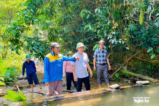 Các địa phương ở Nghệ An chủ động 'cứu' cây trồng, vật nuôi trong nắng nóng