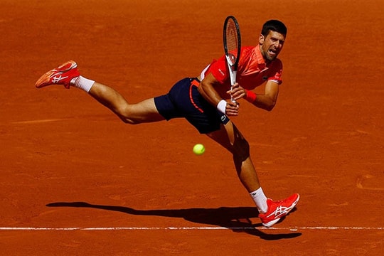 Novak Djokovic tụt xuống hạng 4 thế giới: Nỗi lo Roland Garros và tin mới về Luka Doncic