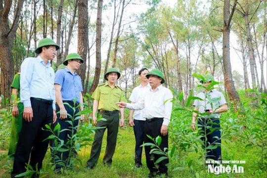 Phó Chủ tịch UBND tỉnh Nghệ An Nguyễn Văn Đệ kiểm tra công tác phòng cháy, chữa cháy rừng