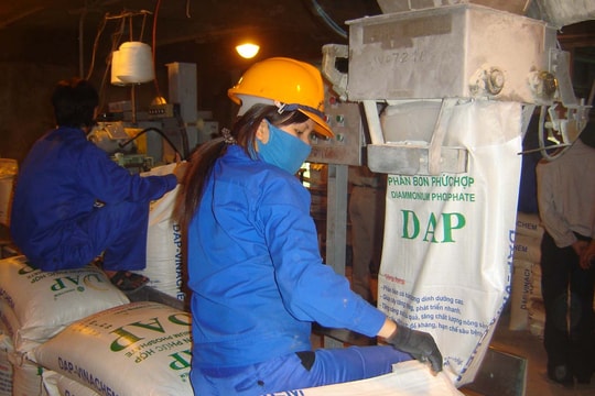Giá phân bón hôm nay 13/4/2026: Cập nhật DAP, Ure, NPK, Kali và Lân