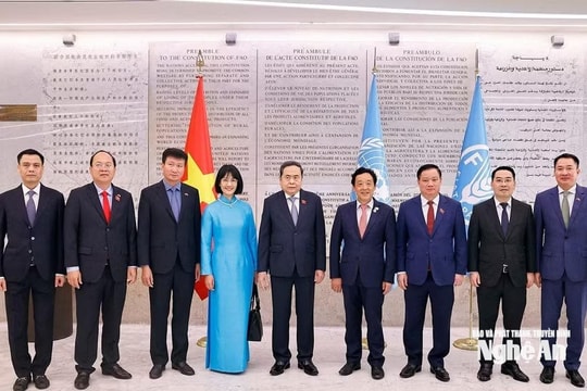 Chủ tịch Quốc hội Trần Thanh Mẫn gặp Tổng Giám đốc Tổ chức Nông nghiệp và Lương thực Liên hợp quốc