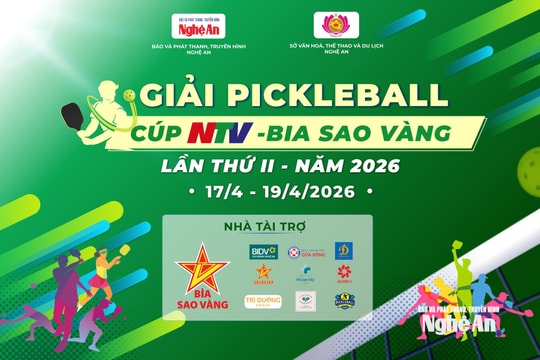Chi tiết lịch thi đấu Giải Pickleball Cúp NTV - Bia Sao Vàng lần thứ II - năm 2026
