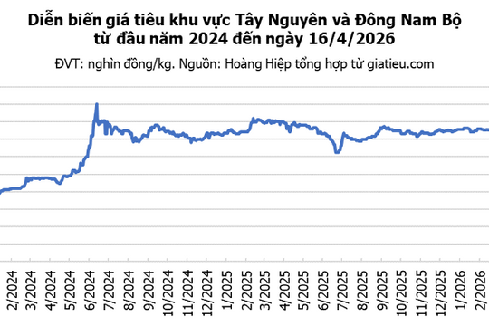 Giá tiêu hôm nay 16/4: Tăng phiên thứ ba liên tiếp, đạt mốc 141.000 đồng/kg