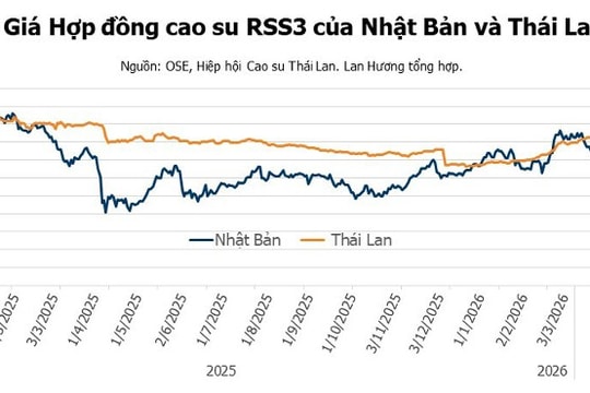 Giá cao su hôm nay 16/4/2026: Thị trường thế giới giằng co, Nhật Bản giảm phiên thứ 6