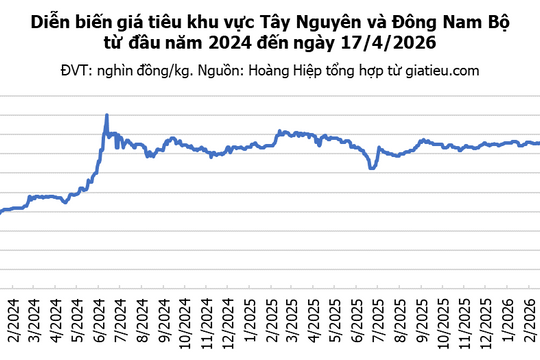 Giá tiêu hôm nay 17/4/2026: Trong nước giữ mốc 141.000 đồng, thế giới giảm mạnh