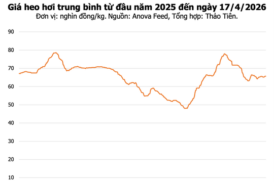 Giá heo hơi hôm nay 17/4/2026: Toàn quốc đi ngang, mức cao nhất 69.000 đồng/kg