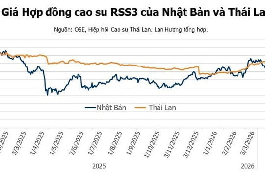 Giá cao su ngày 17/4/2026: Thị trường thế giới tăng mạnh nhờ lực đẩy từ Trung Quốc