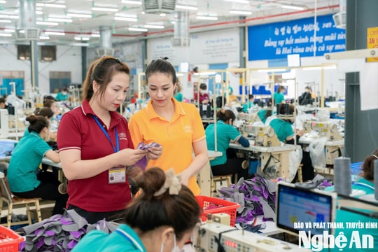 Haivina Kim Liên – Chi nhánh Nhân Hòa tuyển dụng 500 lao động: Cơ hội việc làm ngay tại quê hương