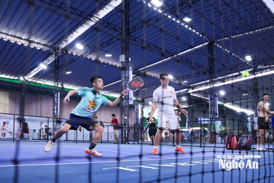 Cận cảnh những cú đánh mãn nhãn tại Giải Pickleball Cúp NTV - Bia Sao Vàng lần thứ II năm 2026