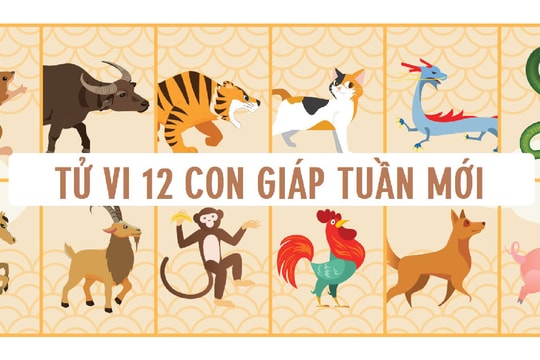Tử vi tuần mới 12 con giáp 20/4 - 26/4/2026: Tuổi Dần, Dậu đón tin vui