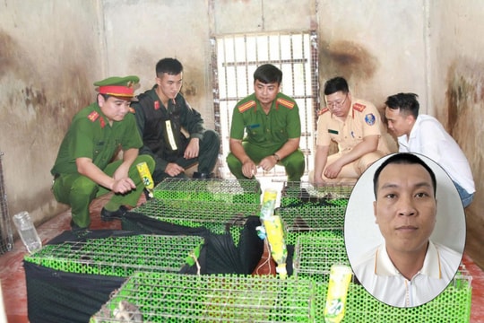 Triệt xóa đường dây mua bán, vận chuyển động vật nguy cấp, quý hiếm