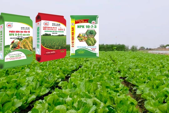 Giá phân bón hôm nay 22/4/2026: Ổn định trong nước
