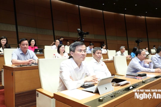 Đại biểu Quốc hội kiến nghị tạo cơ chế đủ đột phá, tháo gỡ các điểm nghẽn, tăng chính sách bảo tồn, phát triển văn hóa