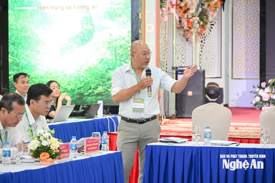 Tăng cường quản lý, bảo vệ nghiêm ngặt các loài thực vật nguy cấp, quý hiếm