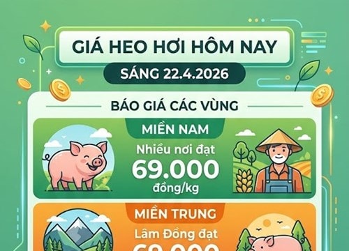 Giá heo hơi hôm nay 22/4: Khu vực phía Nam duy trì ngưỡng đỉnh 69.000 đồng/kg