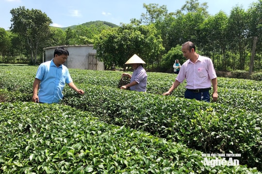 Nghệ An: Tín dụng chính sách khẳng định vai trò trụ cột an sinh