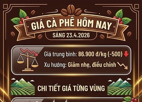 Giá cà phê ngày 23/4: Robusta tăng mạnh lên 3.404 USD, thị trường nội địa giảm nhẹ