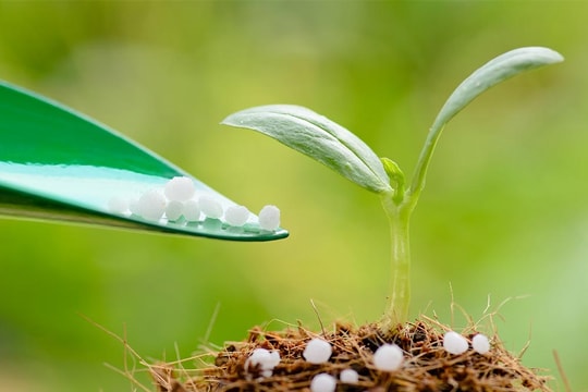 Giá phân bón hôm nay 23/4/2026: Urê Cà Mau 675.000 đồng/bao