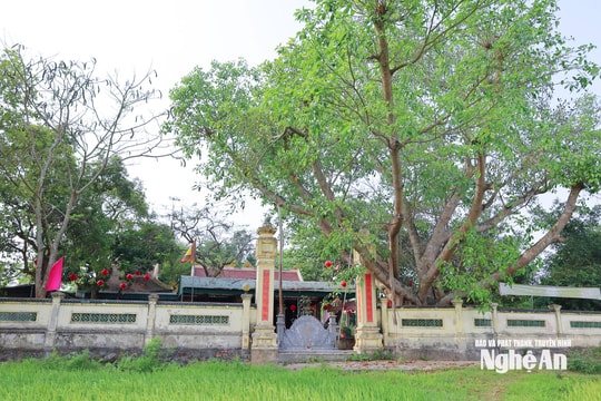 Phát huy và lan tỏa giá trị Lễ hội Đền Làng Rào trong đời sống cộng đồng