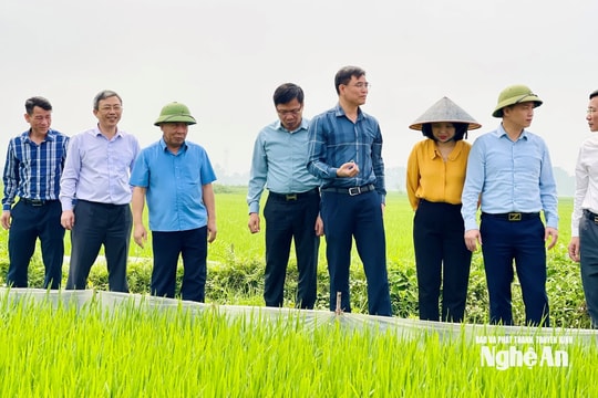 Khuyến nông Nghệ An với các mô hình an toàn sinh học