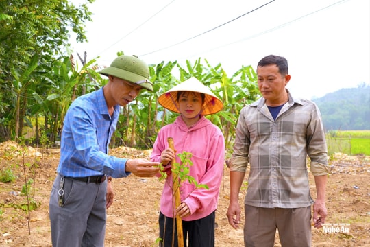 Xã biên giới Châu Khê: Chuyển từ hỗ trợ sang 'thiết kế sinh kế' cho từng hộ dân