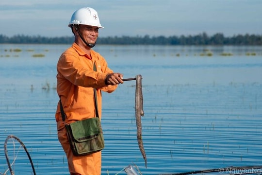 Lịch cắt điện Hưng Yên và Thái Bình từ ngày 27/4 đến 3/5/2026