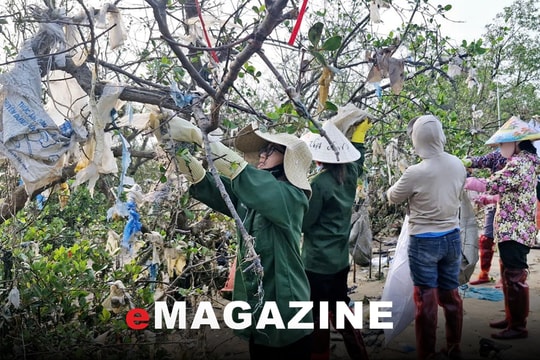 “Nguyên nhân do ta cả thôi...”