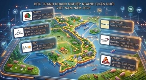 Doanh nghiệp nội chi hàng chục nghìn tỷ đồng định hình lại ngành chăn nuôi