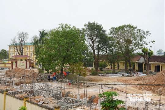 Bảo đảm quyền lợi của học sinh khi sáp nhập trường, lớp