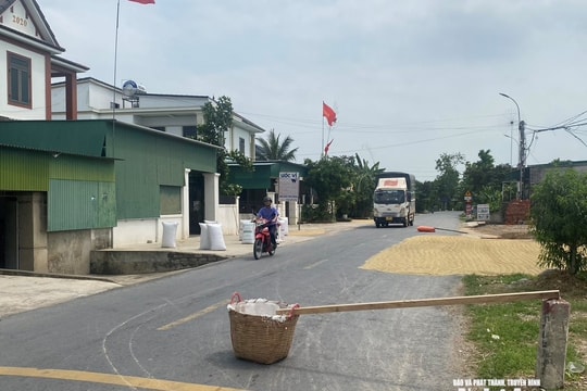Phơi lúa dưới lòng đường, hiểm hoạ tai nạn giao thông