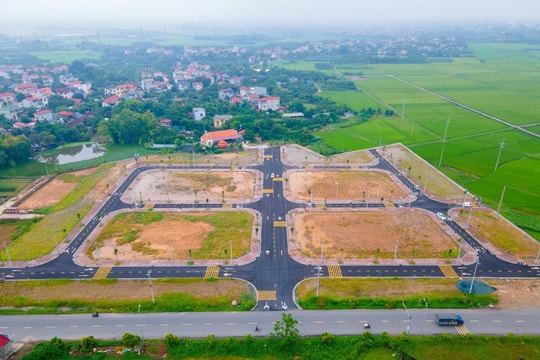 Nghệ An: Nâng chất lượng và hiệu quả trong đấu giá tài sản