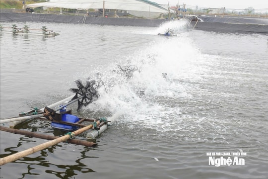 Thời tiết Nghệ An ngày 6/5: Ngày trời nắng, chiều tối và đêm có mưa rào