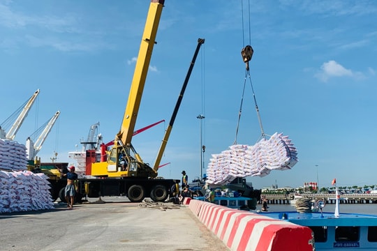 Giá phân bón hôm nay 5/5/2026: Đồng loạt ổn định
