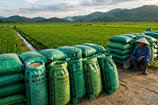 Giá phân bón hôm nay 6/5/2026: DAP Nga 1,245 triệu/bao