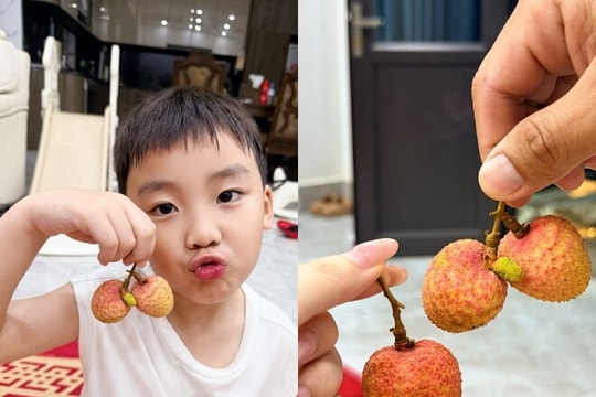 Hòa Minzy khoe con trai bé Bo làm mẫu nhí quảng bá vải thiều tại Bắc Ninh